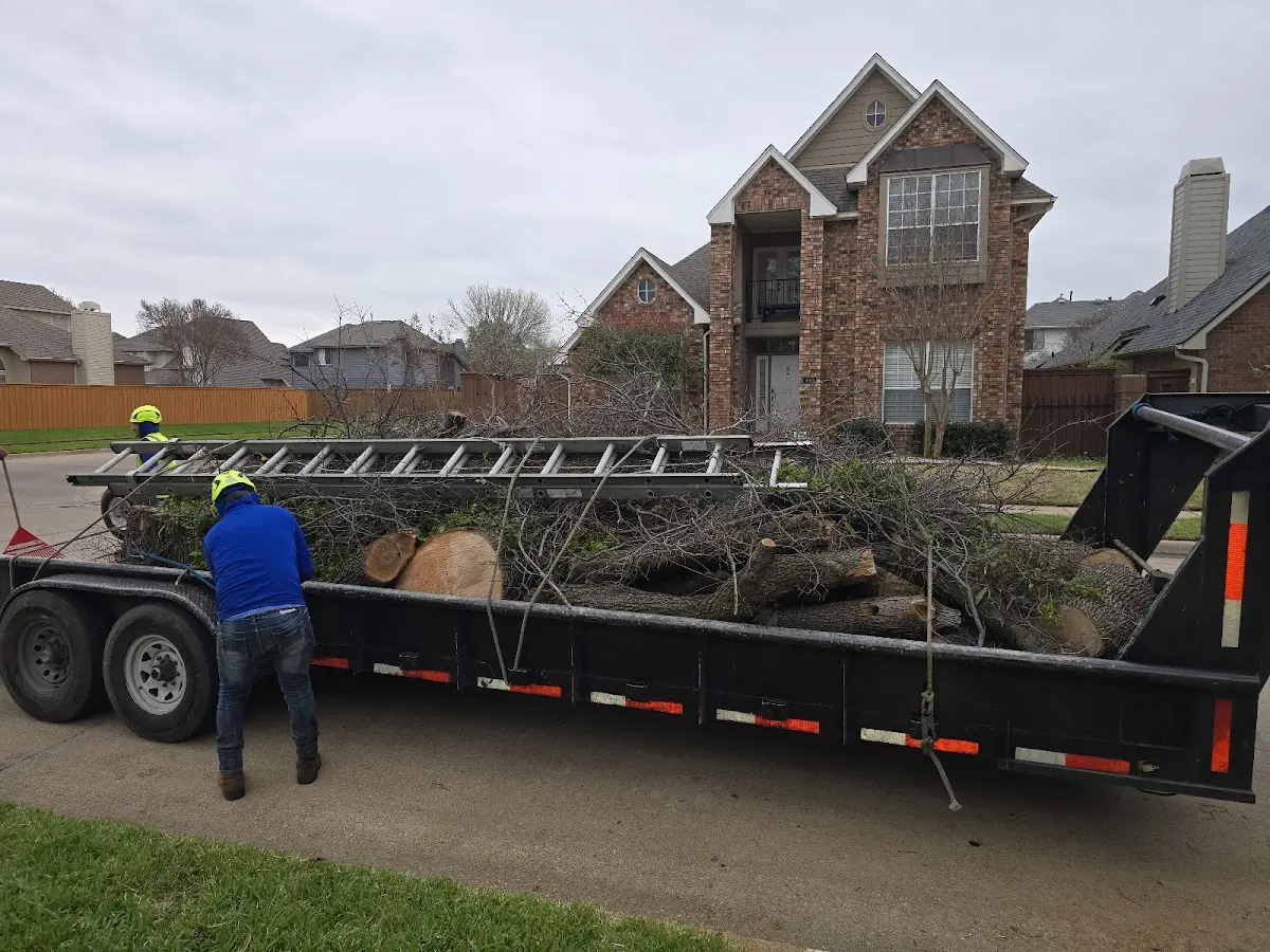 Expert Tree Fertilization with proper safety equipment in Fultonham